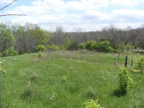 Property photo 2 - Land Auction - 113.11 Acres, Potential Building Site, Wildlife & Recreation, Development Potential